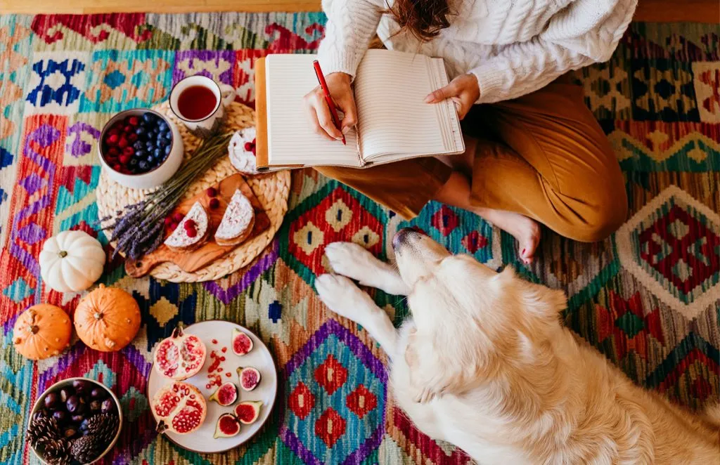 Rug care and cleaning before the holidays
