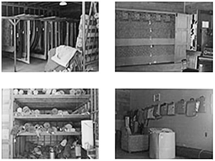 Santa Cruz Rug Cleaners storefront